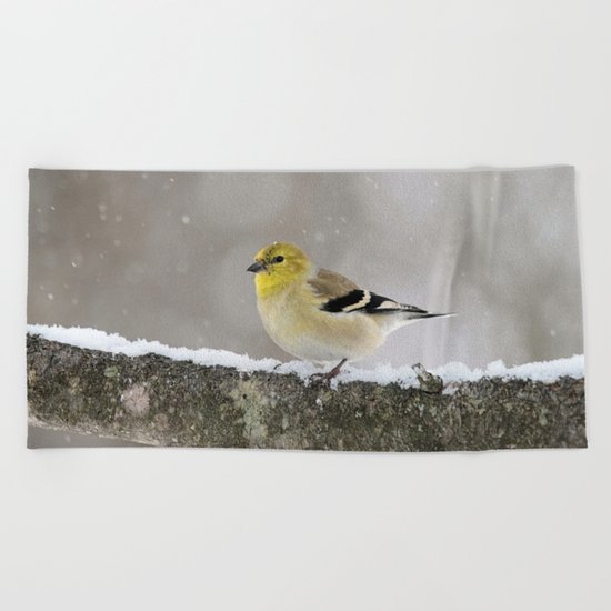 Winter Goldfinch Beach Towel