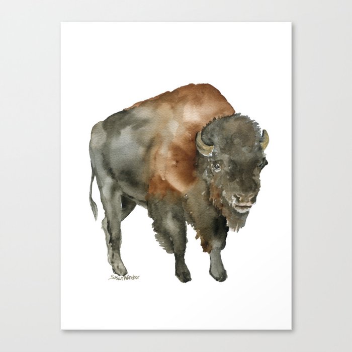 American Bison 2 Watercolor Painting Canvas Print