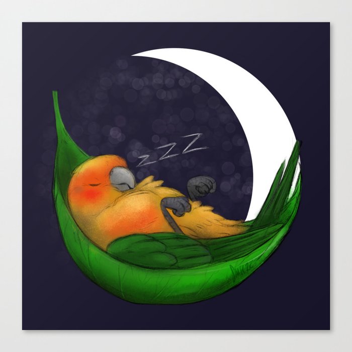 Good Night Mango Canvas Print