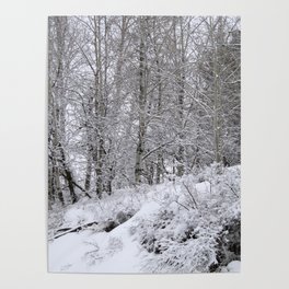 Snowy trees Poster