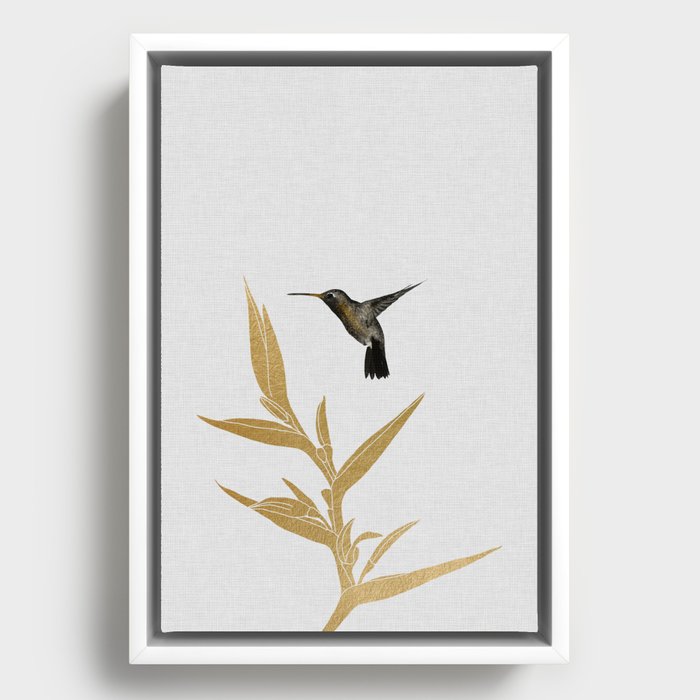 Hummingbird & Flower II Framed Canvas
