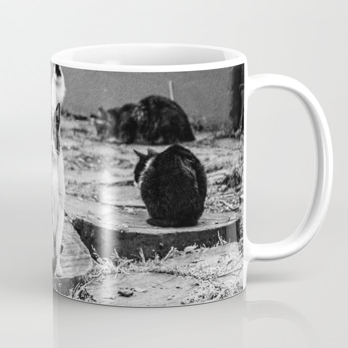 Street Cats of Buenos Aires Coffee Mug