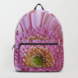 Pink Gerbera Flower in Detail with Yellow Bits Backpack