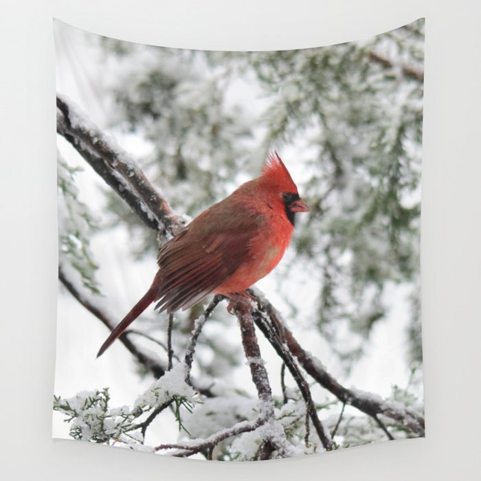 Wet Snow Cardinal  Wall Tapestry