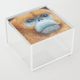 Golden snub-nosed monkey Acrylic Box