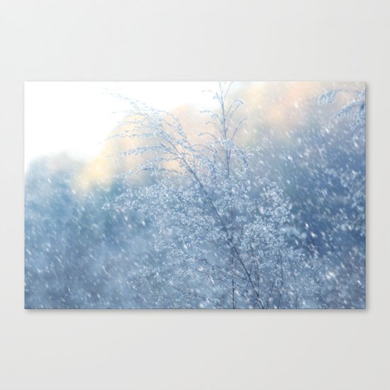 Winter Dreams Canvas Print