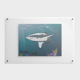 Colombian Oceans Floating Acrylic Print