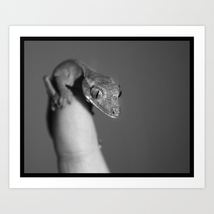 Tiny Lizard Art Print