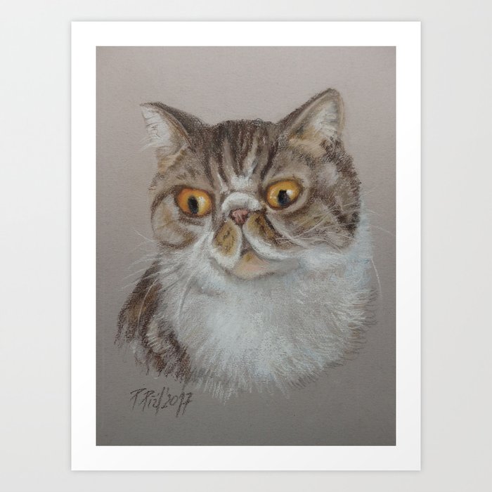 Exotic Cat Portrait Tabby Cat Pastel Drawing Sketch On Grey Background Decor For Cat Lover Art Print By Canisart Society6