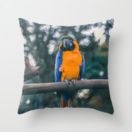 Brazil Photography - Beautiful Blue And Yellow Macaw On A Branch Throw Pillow