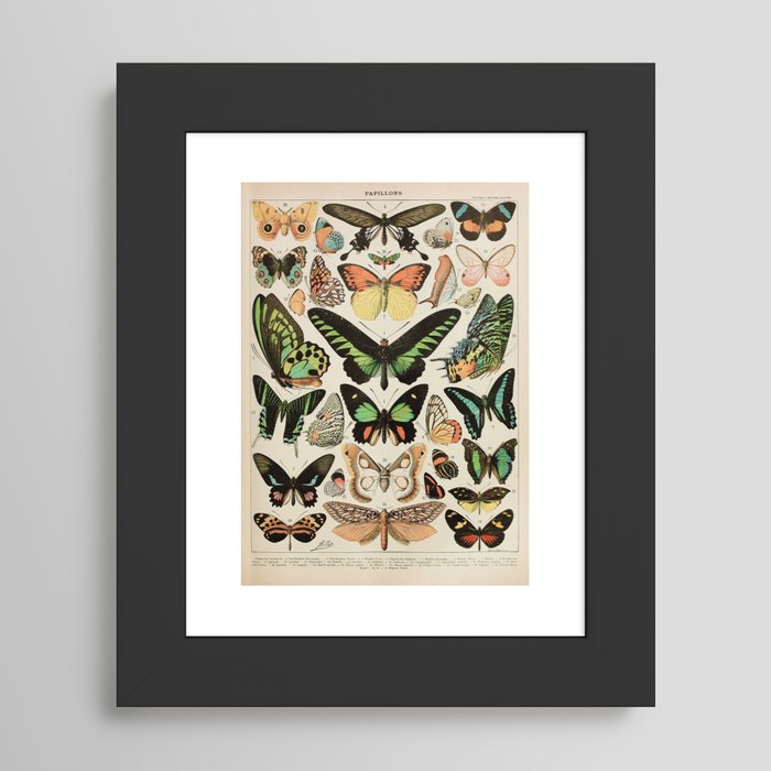 Framed Art Print