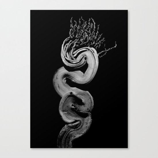 amuleto Canvas Print