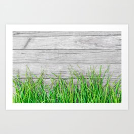 Green grass on gray wood Art Print