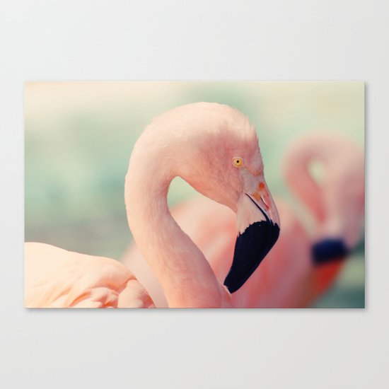 Pink Flamingo Canvas Print