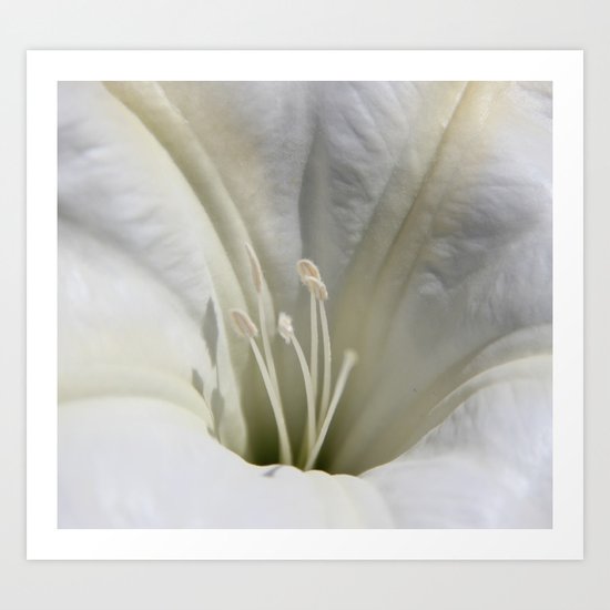 Full Moon Art Print