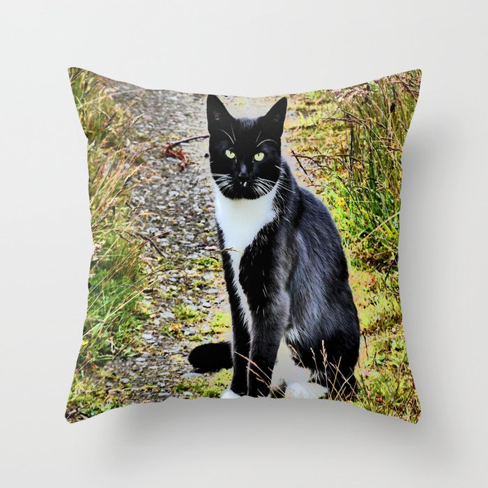 Friendly Cat of the Scottish Highlands in I Art Throw Pillow