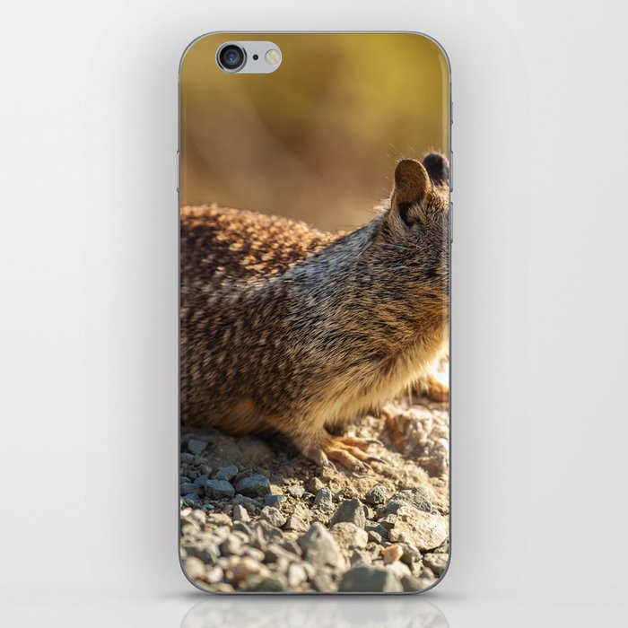 Ground Squirrel  iPhone Skin