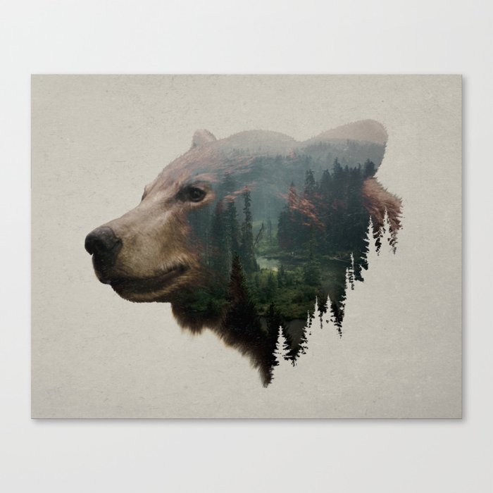 The Pacific Northwest Black Bear Canvas Print By Daviesbabies
