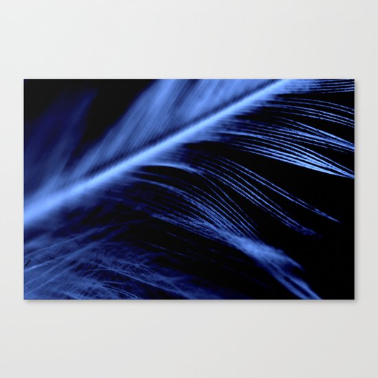 Blue Feather close up Canvas Print
