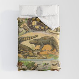 Reptiles Chart Nature Vintage Snake Turtle Alligator Duvet Cover