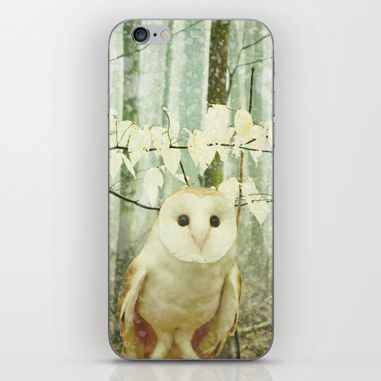 Winter Owl iPhone & iPod Skin