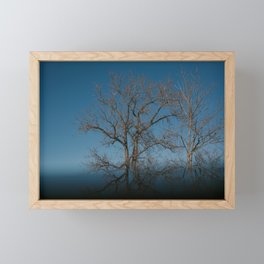 Tree Reflection Framed Mini Art Print