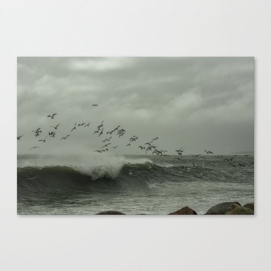 Birds dancing in the waves Canvas Print