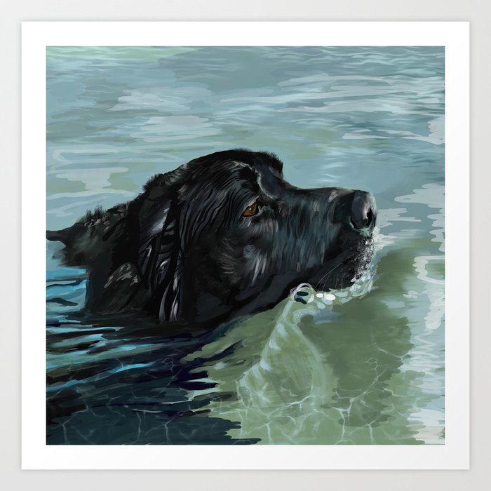 Labrador retriever hot sale accessories