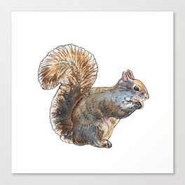Adorable Squirrel Eating Nut Watercolor by Irina Sztukowski Canvas Print
