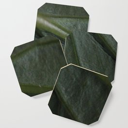 Leaf 34 Coaster