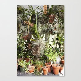 Greenhouse 005 Canvas Print