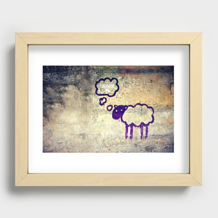 Urban Sheep Recessed Framed Print