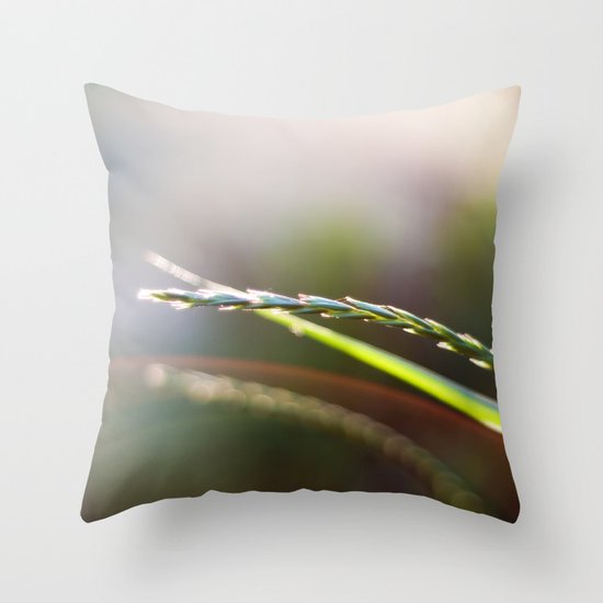Evening Light Throw Pillow