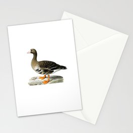 Vintage Greater White Fronted Goose Bird Illustration Stationery Card
