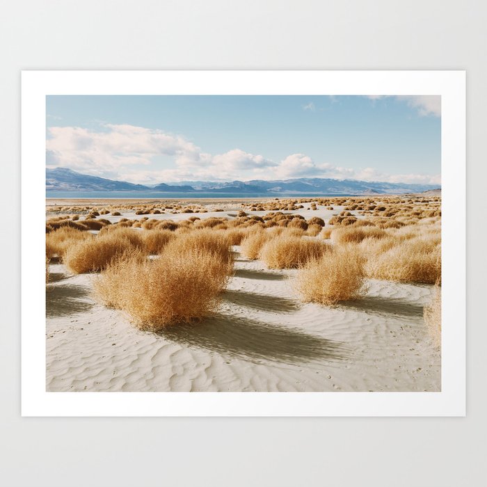 Art Print