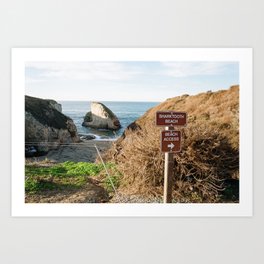 Shark Fin Cove | California | Film Photography Art Print