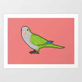 Pixel / 8-bit Parrot: Green Quaker Parrot Art Print