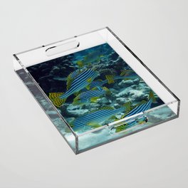 clownfish Acrylic Tray