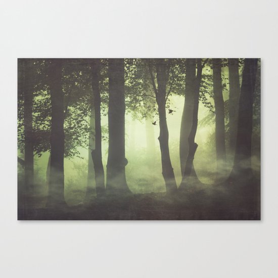 Wispy Forest Mists Canvas Print