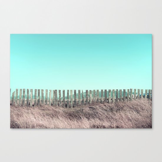 Candy fences Canvas Print
