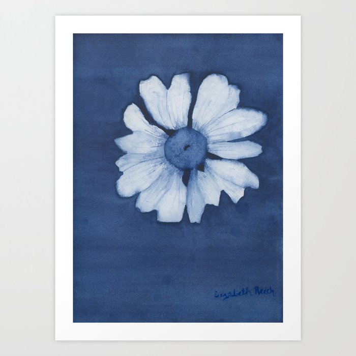 Indigo Daisy Flower Art Print
