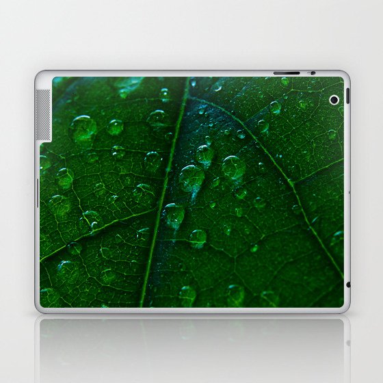 Green Bubbles Laptop & iPad Skin