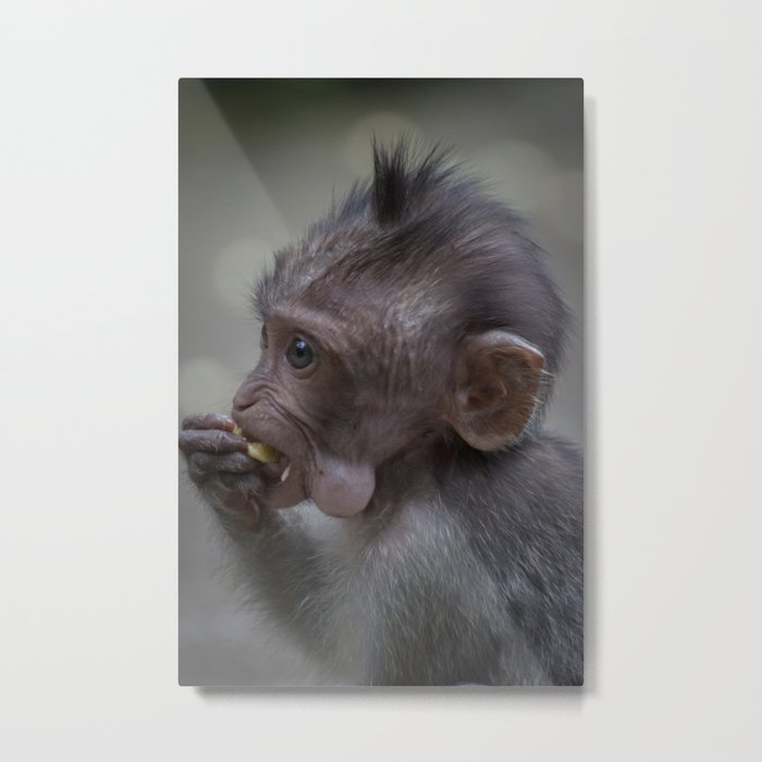 The Monkeys of Ubud Metal Print