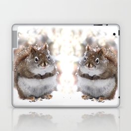 Sweet Squirrel Laptop & iPad Skin