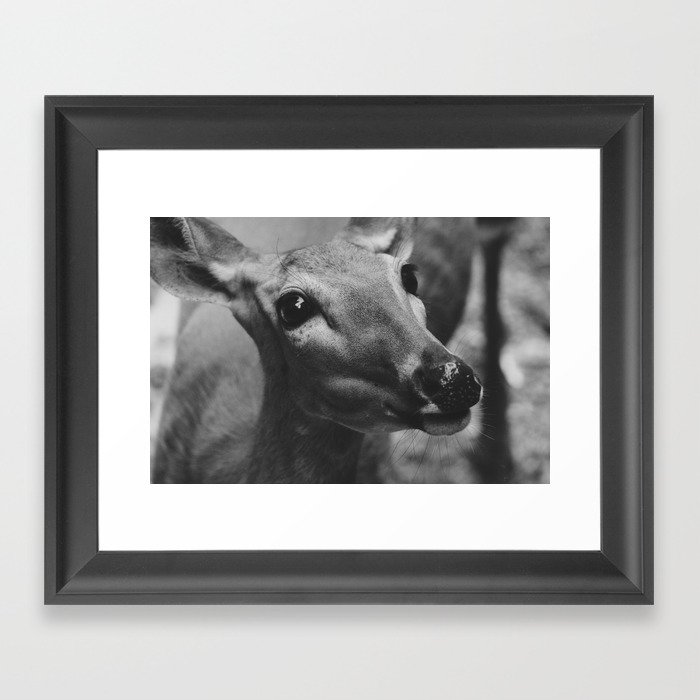 Doe Eyes Framed Art Print