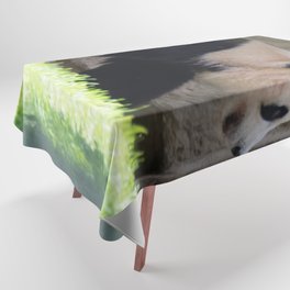 Panda  Tablecloth