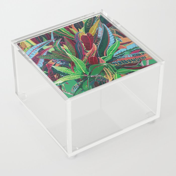 San Ignacio Acrylic Box