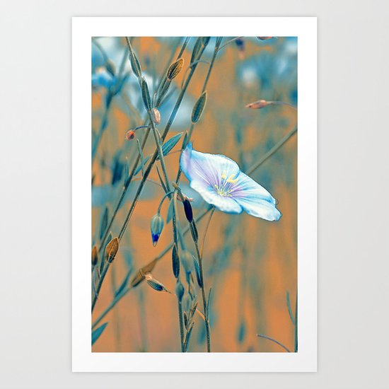 Flax(turquoise). Art Print