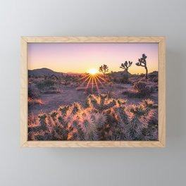 Joshua Tree Cholla Cactus Sunset Framed Mini Art Print