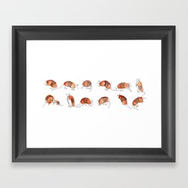 Adorable Armadillos Framed Art Print